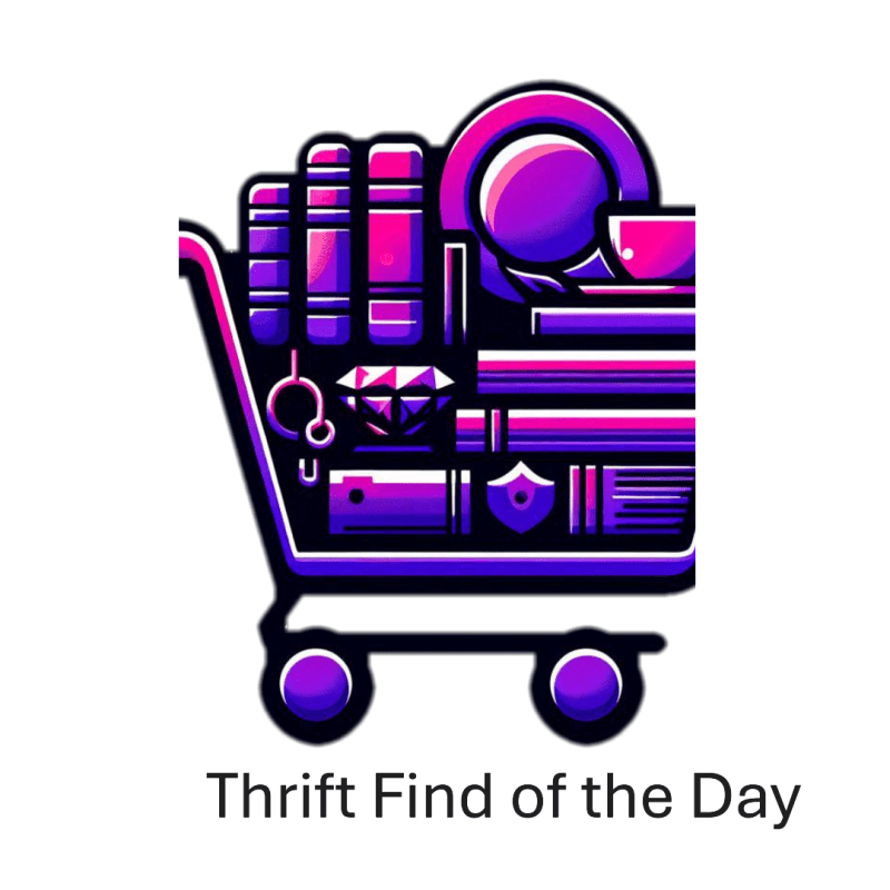 Thrift Find of the&nbsp;Day